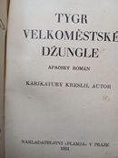 Tygr velkoměstské džungle - Longen E. A.